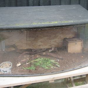 Randers Naturcenter - Mouse exhibit