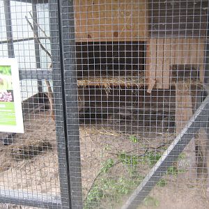 Randers Naturcenter - Rabbit exhibit #1