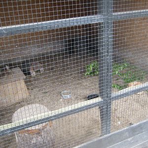 Randers Naturcenter - Rabbit exhibit #2