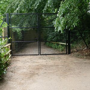New gate on the path to the quarry, July 2019