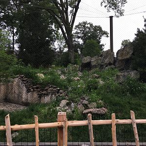 Snow leopard exhibit