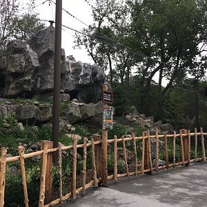 Snow leopard exhibit