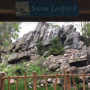 Snow leopard exhibit