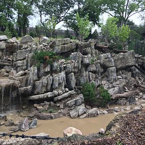 Takin and goral exhibit