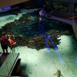 Blacktip Reef from second floor