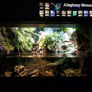 Allegheny Stream tank