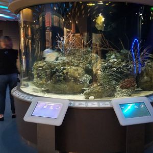 I believe this was called Sea Bed?