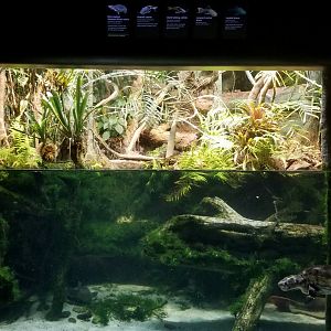 Atlantic River Basin