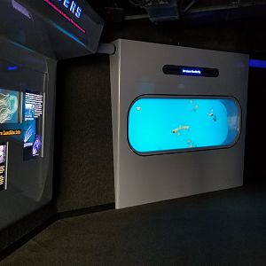 Entrance to Jelly Invasion