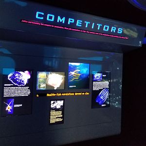 Example of Jelly Invasion signage