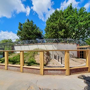 Sand Lizard / Adder Enclosure - 02/07/2019
