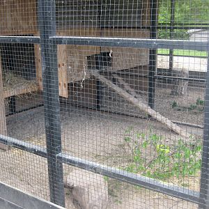 Randers Naturcenter - Rabbit exhibit #3