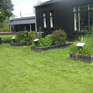 Randers Naturcenter - Herbal garden