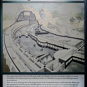 Original graphic about the Aquarium