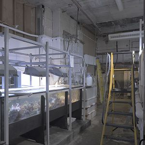 A glimpse behind the scenes