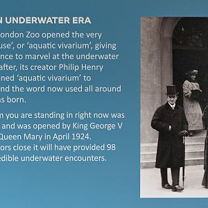 Graphic in Aquarium foyer