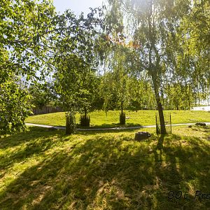 Kangaroo Walk Through - New Exhibit