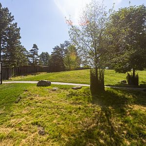 Kangaroo Walk Through - New Exhibit