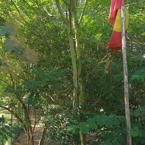 Australian Aboriginal Flag