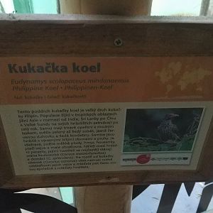Koel Signage