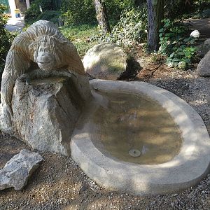 Orangutan Fountain