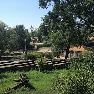 View over Maned Wolf enclosure into Savannah exhibit