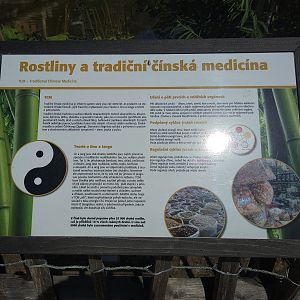 Interpretative Signage