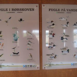 Randers Naturcenter - Wild birds in the area