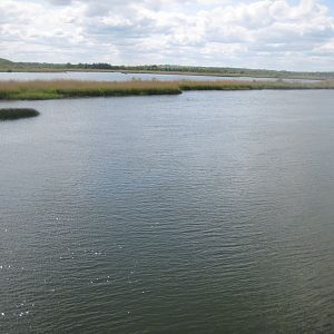 Randers Naturcenter - View from bird hide