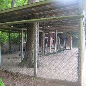 Randers Naturcenter - Skovhuset - Peafowl aviary