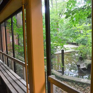 View from House to Pygmy Hippo Outdoor Enclosure at Krefeld, 15/06/19