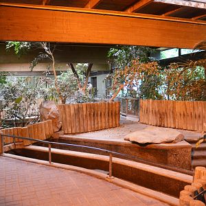 Pygmy Hippo Indoor Enclosure at Krefeld, 15/06/19