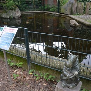 Pygmy Hippo Outdoor Enclosure at Krefeld, 15/06/19