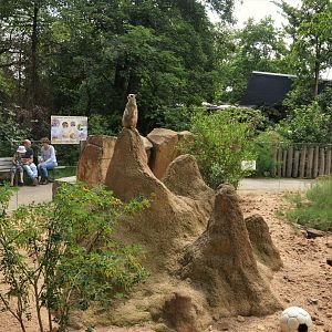 Meerkat Enclosure at Krefeld, 15/06/19