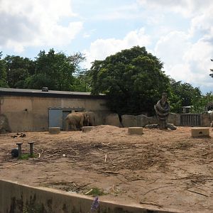 Asian Elephant Enclosure at Krefeld, 15/06/19