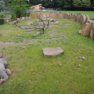 Rhino and Savannah Enclosures at Krefeld, 15/06/19