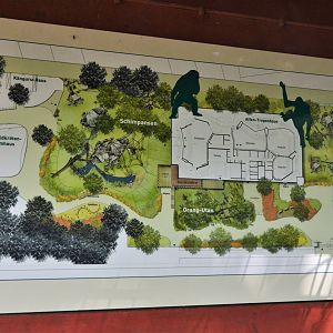 Ape House Future Plans at Krefeld, 15/06/19