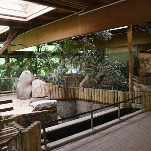 Pygmy Hippo Indoor Enclosure at Krefeld, 15/06/19