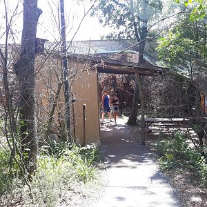 Walkthrough aviary - general overview