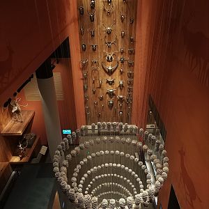 Trophies and Pinecones