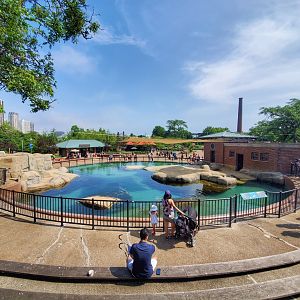 Jul. 2019 - The Kolver Seal Pool