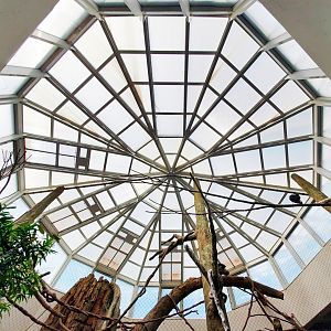 Jul. 2019 - African Journey - Diana Monkey Exhibit + Walkthrough Aviary