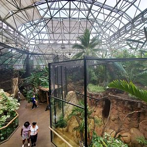 Jul. 2019 - Small Mammals-Reptile House - Atrium Overlook