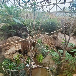 Jul. 2019 - Small Mammals-Reptile House - Puerto Rican Parrot Exhibit - Above View