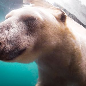 Jul. 2019 - Arctic Tundra - Talini