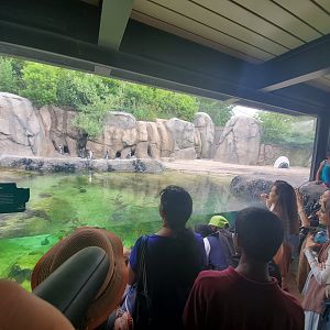Jul. 2019 - Penguin Cove - Left Side