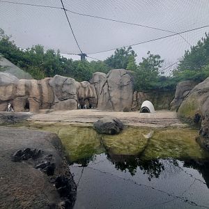 Jul. 2019 - Penguin Cove - Right Side