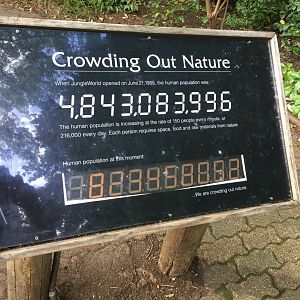 Bronx Zoo tattiness, July 2019