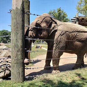 Emily testing her barriers