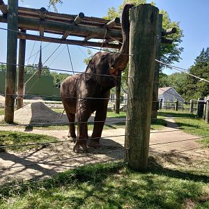 Emily grabbing for an ice treat